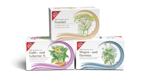 Magen - Darm - Verdauung